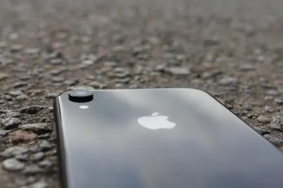 Casino Jungle Raja Mobilapp